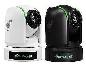 BirdDog P4K PTZ Camera