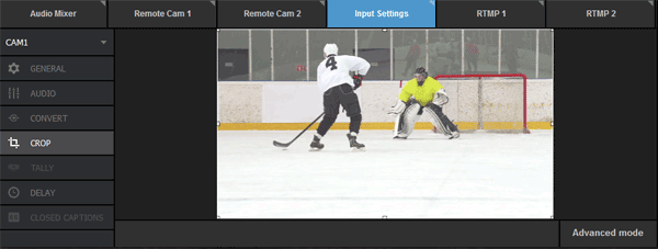 LiveStream Studio Advanced Input Cropping