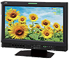 JVC DT-V17G15E Offer JVC DT-V17G15E 17" production Monitor at best price