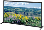 JVC GM-552DU Offer JVC GM-552DU 55" Class Full HD Monitor at best price