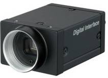 Sony XCDV50CR | XCDV-50CR IEEE 1394.B Raw Color VGA Digital Camera