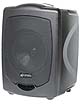 Azden APS-30U Dual Channel Speaker