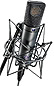 Neumann U89i