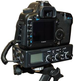 BeachTek DXA-5D